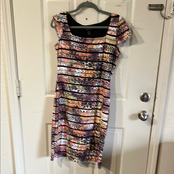 Multicolor Women's Dress - Picture 1 of 3